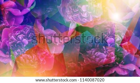 Abstract background with peonies, hexagons multicolored