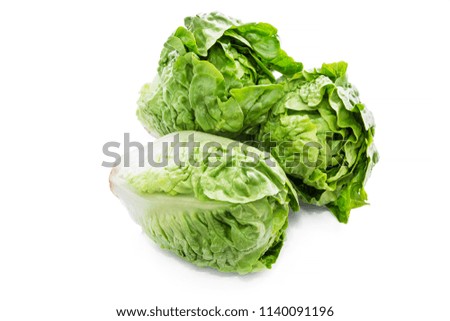 green lettuce isolated on white background