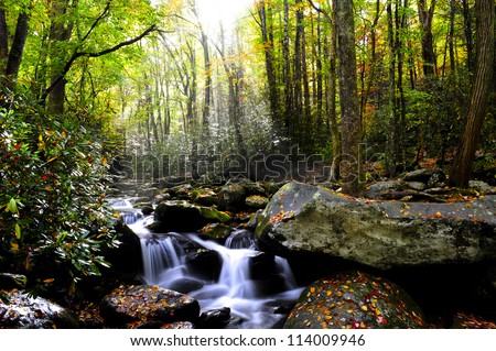 Sun rays shinning through the fall forest with a slow moving stream.