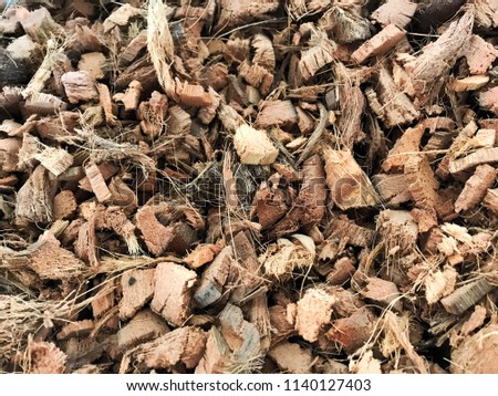 pile of dried coconut husk peel, good quality raw material of natural organic compost or fertilizer for homemade hydroponics plants home garden, farming knowledge tips and tricks, top view full frame