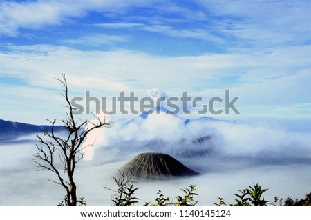 Amazing picture of Fog rolling over trees in Mountain Bromo, East Java, Indonesia.Panoramic view of active volcano mountain on earth. Aerial,semeru national park, East Java, Indonesia.