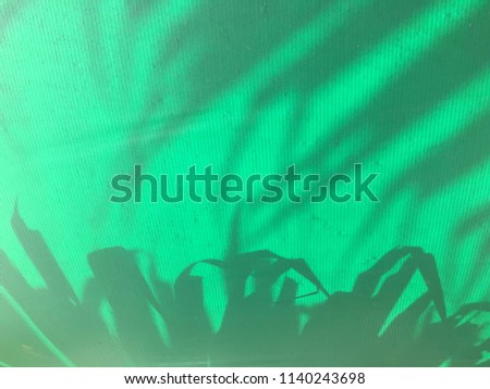 The shadow of coconut leaves on the green vinyl banner background