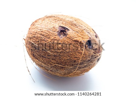 coconut on white background close-up