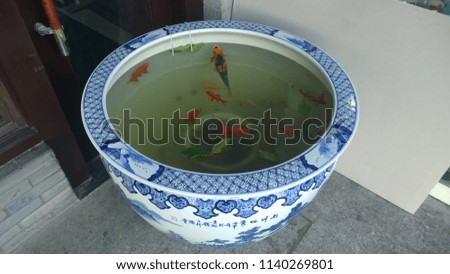 Chinese traditional gardens fishes