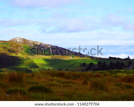       beautiful natural field with grasses and sunlight landscape                         