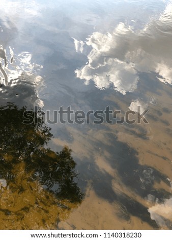 View of reflections in the water on summer day