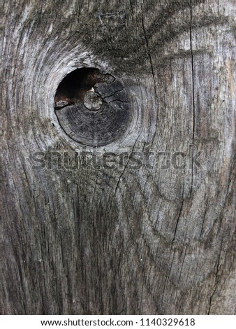 Wooden Organic Background Texture with geometric cuts (circles) close up. Grey wood background. Aged tree surface