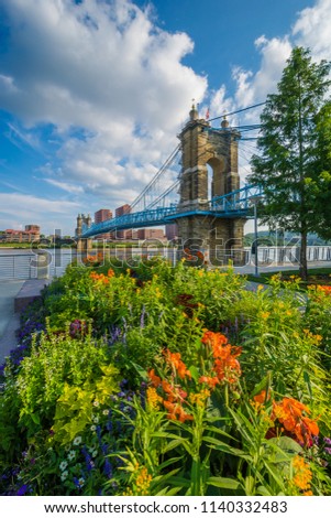 Flowers and the John A. Roebling Suspension Bridge in Cincinnati, Ohio