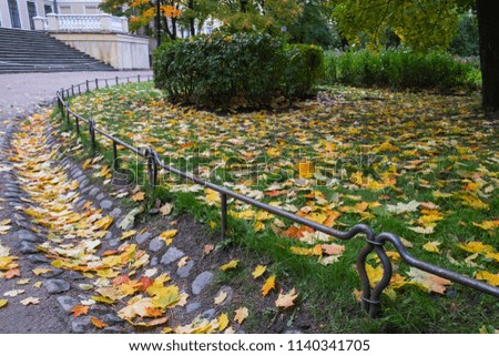 Colorful red, yellow, orange maple leaves in old drainage ditch. Multicolored foliage covering green grass and asphalt footpath. Natural background. Autumn colors in nature of Europe and America.