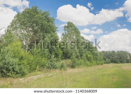Beautiful summer landscape with green colors. Nature in the vicinity of Pruzhany, Brest region,Belarus.