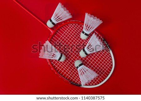 Badminton shuttlecocks and racket against a red background