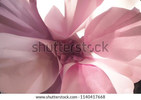 Paper Flowers for decoration