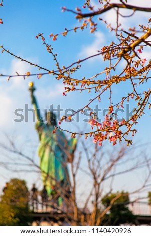 Motion blur of Statue of Liberty and Cherry blossom on spring in Odaiba area,This is a famous place in Tokyo, Japan