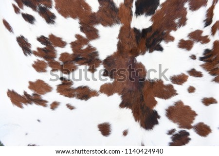 Animal real fur background Royalty-Free Stock Photo #1140424940