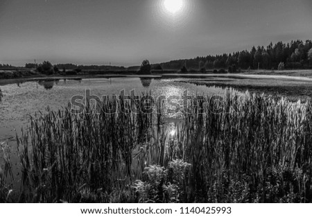 Night landscape on full moon and smal lake near forest. Black-white photo.