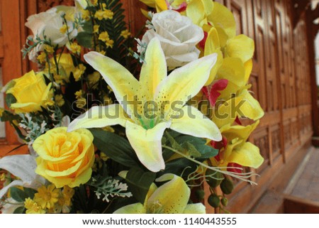 Beautiful ornamental flowers.