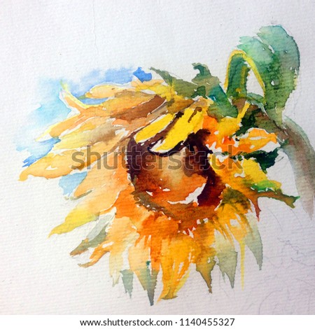 Abstract bright colored decorative background . Floral pattern handmade . Beautiful tender romantic sunflower , meadow  , made in the technique of watercolors from nature.