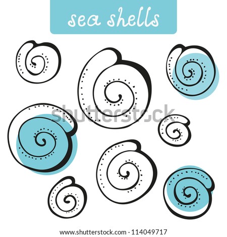 Sea shells hand-drawn vector illustration