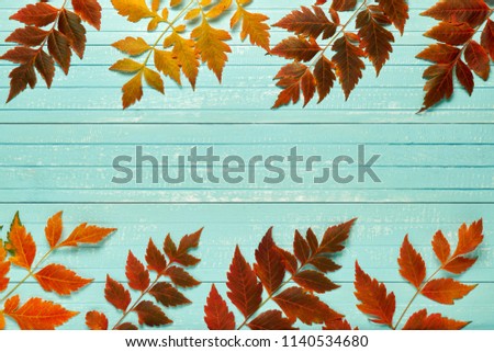 Autumnal frame for your idea. In autumn fallen dry twigs with leaves of yellow, red, orange, aligned on the perimeter of the frame on an old wooden board of a soft blue place for your text
