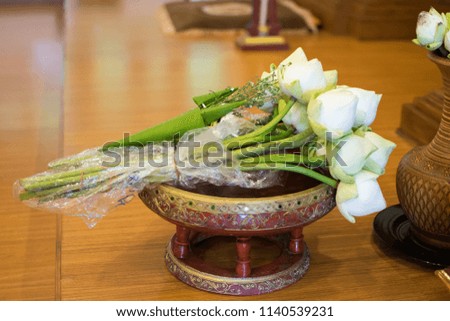 White Lotus for Buddha worship