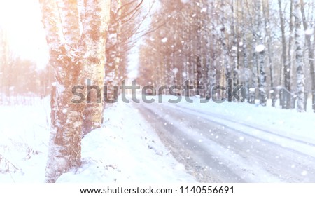 Winter landscape snow covered expanses. A park in the winter in the snow. Road on winter day.
