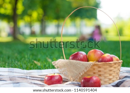 Checkered Plaid Picnic Apples Basket Fruit Green Grass Summer Time Rest Background Design Web Concept Long Format