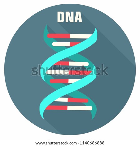 Vector scientific icon structure of a DNA molecule. The spiral DNA gene in a flat style.