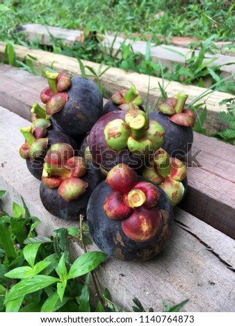 A delicious picture of mangosteen on a wood