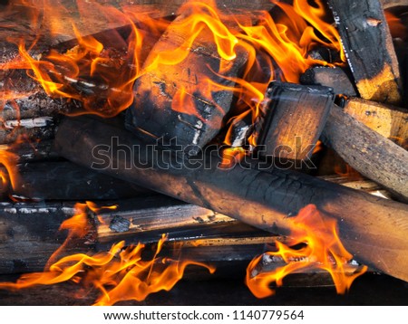 Burning wood sticks in the fire