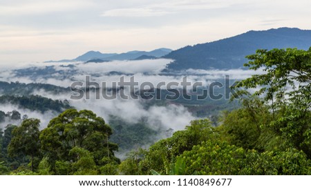 Clouds over the rainforests of Sabah, Malaysia. Seen from Taviu Hills.