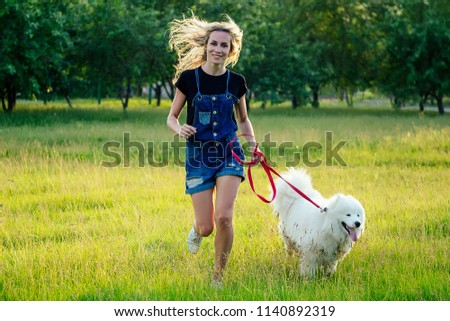 beautiful curly blonde smiling happy young woman in denim shorts training and running with a white fluffy cute samoyed dog in the summer park sunset rays field background . pet and hostess
