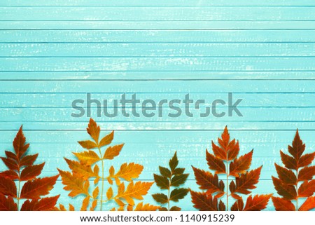 Autumnal frame for your idea. In autumn fallen dry twigs with leaves of yellow, red, orange, aligned on the perimeter of the frame on an old wooden board of a soft blue place for your text