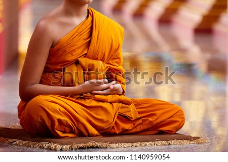 Monks meditating in temples