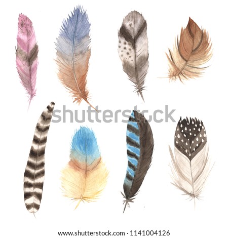 Watercolor colorful vintage feathers set. Hand painted different bird feathers. Tribal boho aztec clip art for wedding card and invitation making