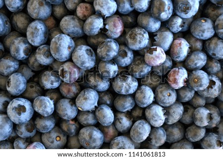 A mound of fresh picked blueberries.