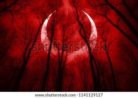 dark scary forest scene with surreal eclipse, apocalyptic landscape  Royalty-Free Stock Photo #1141129127