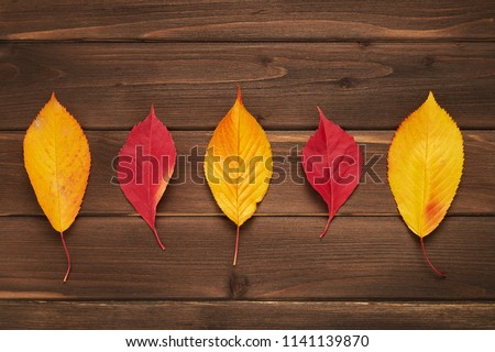 Autumn frame for your idea and text. Autumn fallen dry leaves of yellow, red, orange, lined in the middle of the frame on an old wooden board of brown color. The pattern of autumn. View from above