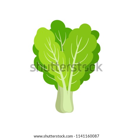 Flat vector icon of fresh collard. Leafy green vegetable. Healthy ingredient for vegetarian salad. Organic food Royalty-Free Stock Photo #1141160087
