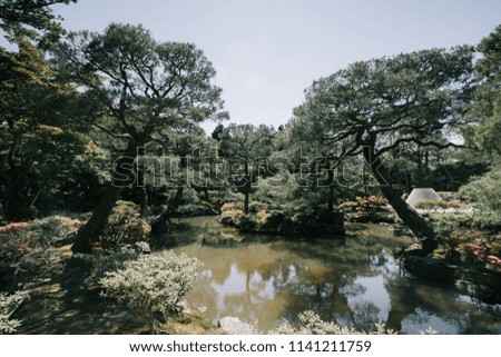 Japanese garden with lake film vintage style