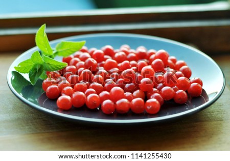 Handful of cherries on a dark plate with a sprig of mint