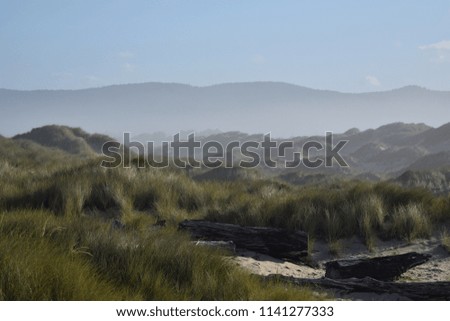 Sand dunes against a misty mountain backdrop. 
