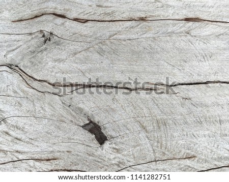 Closeup natural wood background for texture