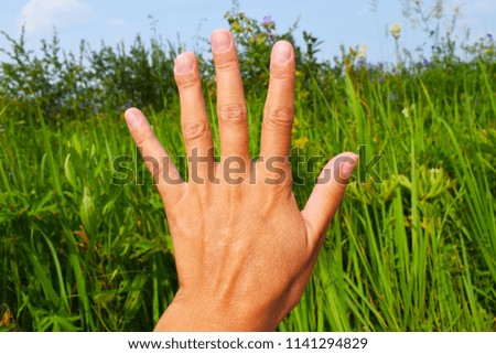 Hand of man. Open palm. Man in nature. Fingers. Hand.