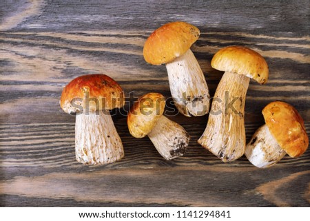 Forest mushrooms close up. Boletus edulis on wooden textural surface. Five small raw mushrooms on old wood. Top view.