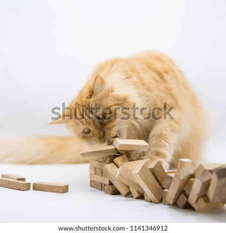 Ginger Cat Destroying Wooden Block Tower