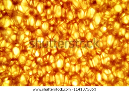 yellow, brown cellular structure  polyurethane