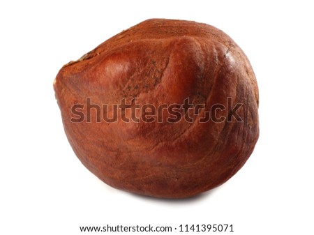 one hazelnut isolated on a white background. macro