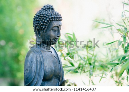 Buddah sitting in zen garden