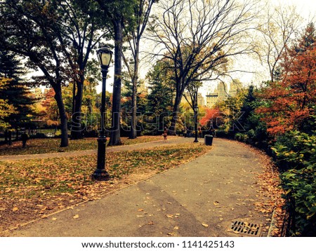 Central park, NYC