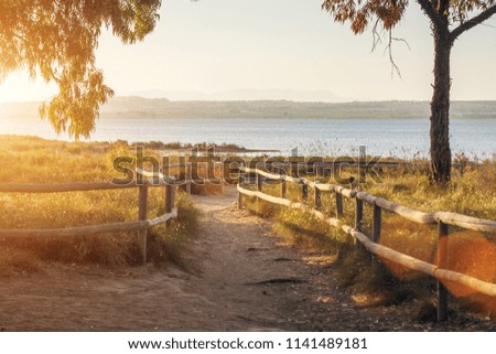 Beautiful view of the exotic Mediterranean park in the evening at sunset, the trail in the national park leads to the lake